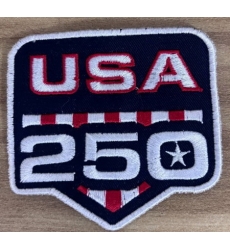 Men Miami Dolphins USA 250 Anniversary Patch Biaog