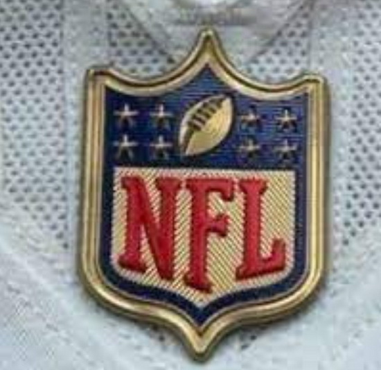 Women Atlanta Falcons Gold NFL Logo Patch Biaog
